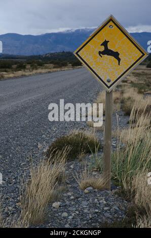 Segnale di attraversamento del bisulco di Ippocamelus nelle Ande Sud. Parco Nazionale Torres del Paine. Magallanes e Regione Cilena Antartica. Cile. Foto Stock