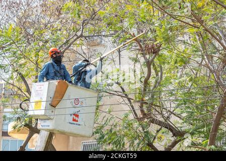 I lavoratori delle aziende elettriche utilizzano utensili elettrici e un sollevatore idraulico per guadagnare il vantaggio di altezza mentre taglia i rami da un albero che potrebbe toccare l'alta tensione Foto Stock