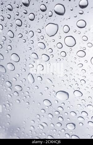 Gocce di acqua su sfondo grigio Foto Stock