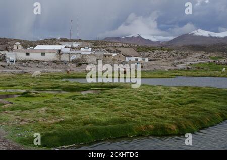 Villaggio di Parinacota nel Parco Nazionale di Lauca. Regione di Arica y Parinacota. Cile. Foto Stock