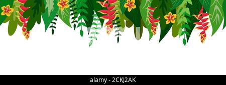 Bordo orizzontale con motivo floreale senza cuciture con foglie e fiori. Piante tropicali su sfondo bianco. Tropic foresta pluviale fogliame confine. Esotico Foto Stock