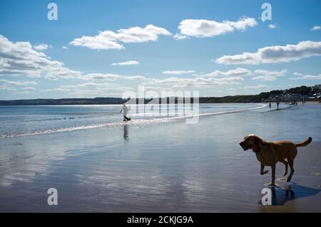 La spiaggia di Filey Cobble Landing, North Yorkshire costa est, Inghilterra settentrionale, Regno Unito Foto Stock