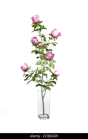 Bouquet di rose rosa in un vaso quadrato di vetro isolato su sfondo bianco - rendering 3d Foto Stock