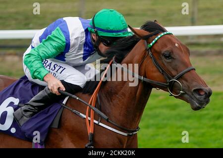 Tom Marquand Ride Ready to Venture vince la British Stallion Stacchs EBF Maiden Stakes all'ippodromo di Great Yarmouth. Foto Stock