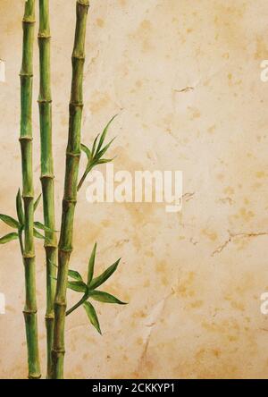 Steli di bambù verde e foglie isolate su sfondo verticale di vecchia carta marrone. Illustrazione botanica disegnata a mano con acquerello con spazio per il testo. Acqua Foto Stock