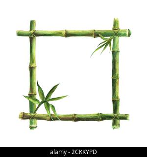 Steli di bambù verdi bastoni e foglie telaio isolato su sfondo bianco. Acquerello disegno a mano con spazio per testo, immagine, bordo, templa Foto Stock