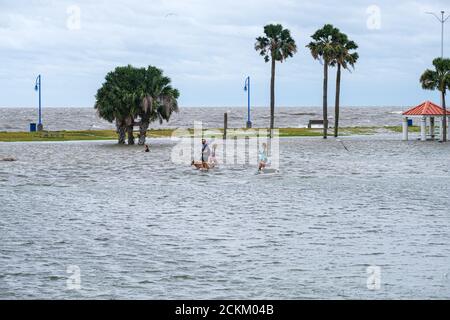 New Orleans, Louisiana/USA - 9/15/2020: Persone e animali domestici guastano in un'allagata Lake Shore Drive lungo il lago Pontchartrain Foto Stock