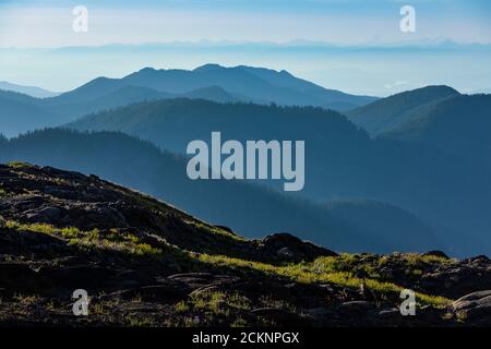 Sentiero per scalatori che conduce verso Heliotrope Ridge sulle pendici del Monte Baker, Mount Baker-Snoqualmie National Forest, Washington state, USA Foto Stock