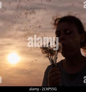 Donna che soffia su dandelioni al tramonto, divertimento estivo, fuoco selettivo. Foto Stock