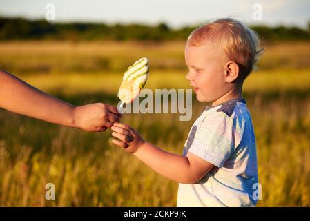 La mano della mamma che dà il lecca di gelato al suo figlio di due anni su un prato estivo durante il tramonto. Foto Stock