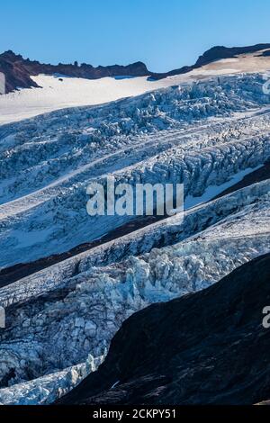 Coleman e Roosevelt Glaciers alla luce del mattino, vista da Heliotrope Ridge sotto Mount Baker, Mount Baker-Snoqualmie National Forest, Washington St Foto Stock