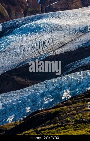 Coleman e Roosevelt Glaciers alla luce del mattino, vista da Heliotrope Ridge sotto Mount Baker, Mount Baker-Snoqualmie National Forest, Washington St Foto Stock