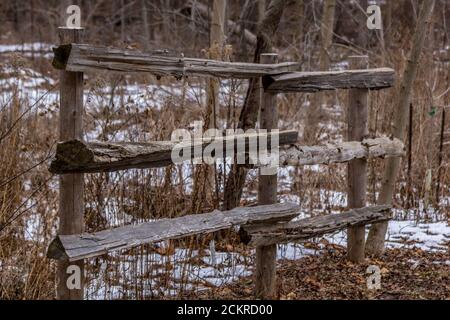 Cedar recinto in inverno Foto Stock