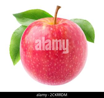Una mela rosa con gambo lungo e foglie isolate sfondo bianco Foto Stock