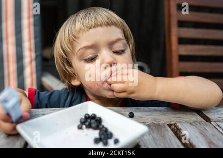 Ragazzo giovane che mangia mirtilli Foto Stock