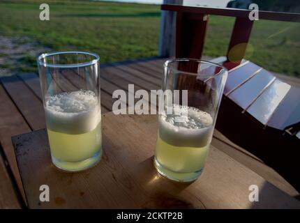 Pisco Sours seduta su tavolo di legno in luce naturale verde cremoso con crema di uova bianco schiuma sulla parte superiore fresco e rinfrescante bevanda sudamericana. Foto Stock