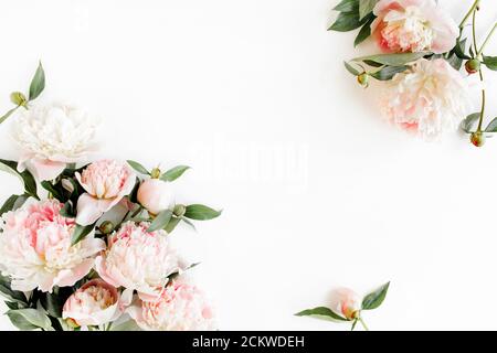 Cornice di bordo in fiore di peonie rosa e beige e isolato su sfondo bianco. Disposizione piatta, vista dall'alto. Cornice di fiori. Foto Stock