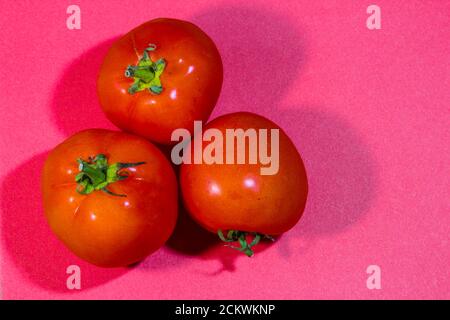 Pomodori freschi presentati su sfondo rosso, creativo minimalismo concetto con spazio copia Foto Stock