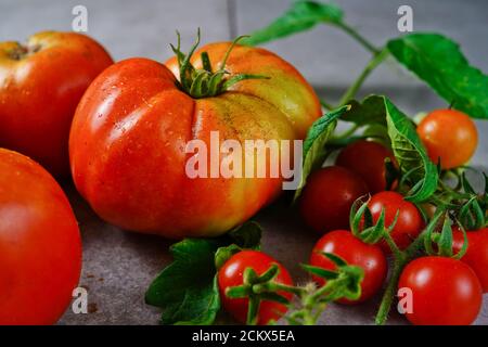 Pomodori coltivati in casa ancora vita, fuoco selettivo Foto Stock