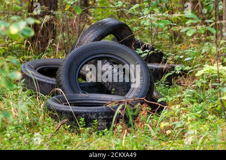 pneumatici di automobili scartati nella foresta - discarica illegale, problema di inquinamento della natura con i rifiuti di consumo Foto Stock