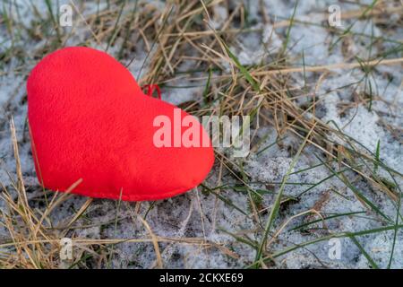 Cuore rosso giace su erba arancione-verde sulla neve, copia spazio Foto Stock