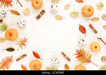 Telaio fatto di foglie secche d'autunno, zucche e cotone. Posa piatta caduta. Vista dall'alto. Concetto minimo autunno Foto Stock