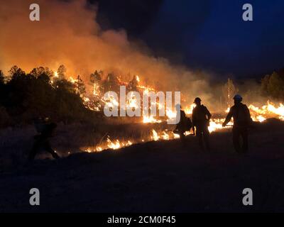 I vigili del fuoco lavorano per contenere il Pine Gulch Fire sulle pendenze occidentali durante le operazioni notturne 21 agosto 2020 vicino a Grand Junction, Colorado. Il fuoco selvatico è il più grande nella storia del Colorado che distrugge decine di migliaia di ranch e habitat naturali. Foto Stock