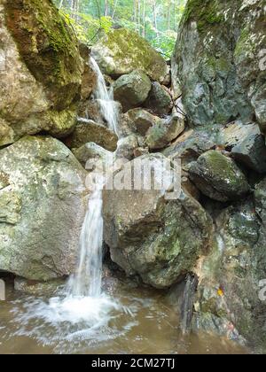 Cheile Plaiului gole naturale fiume area. Cascata sul piccolo fiume in fitta foresta nella contea di Cluj, Transilvania, Romania. Acqua dolce e rocce in Tr Foto Stock