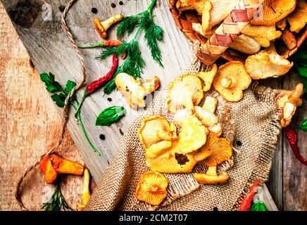 Chanterelle di funghi selvatici in cesto di vimini, stile rustico, vista dall'alto Foto Stock