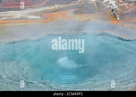 La bella sorgente del buco del fuoco al bacino inferiore del Geyser. Una piscina riscaldata nel parco nazionale di Yellowstone, Wyoming Foto Stock