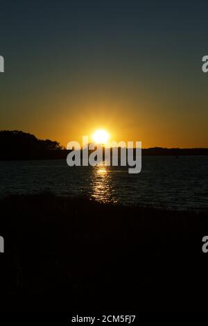 Tramonto sulla Baia di Belmont con silhouette di alberi e. scogliera Foto Stock