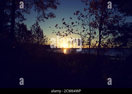 Sole che domina Belmont Bay con la silhouette di alberi e scogliere Foto Stock