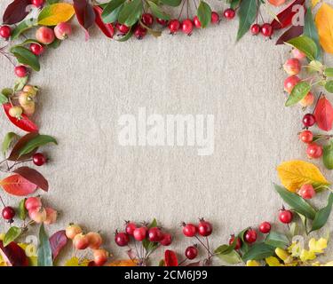 Sfondo autunnale di bacche, piccole mele selvatiche, ghiande e foglie di fondo tessile di lino grigio. Spazio vuoto per il testo con elementi naturali Foto Stock