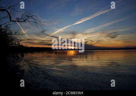 Tramonto su Belmont Bay con silhouette arida ramo albero e riva del fiume. Foto Stock