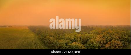 L'alba arancione si illumina su una foresta foggosa come foto panoramica aerea da un drone. Foto Stock