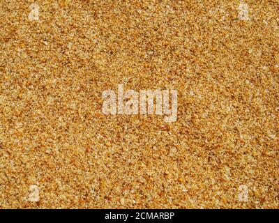 Sfondo astratto con sabbia dorata che mostra una texture fine e dettagli, colori brillanti creati dai piccoli conchiglie, cristalli e particelle di silice Foto Stock