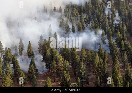 Il 15 settembre 2020, vicino a Paisley, Ore. Due elicotteri Black Hawk dell'esercito dell'Oregon HH-60M sono attualmente assegnati al fuoco per assistere con le operazioni di benna dell'acqua. Il fuoco di Brattain ha cominciato il 7 settembre 2020. (Foto della Guardia Nazionale di Major Leslie Reed, Oregon Military Department Public Affairs). Foto Stock