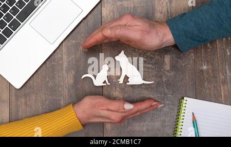 Concetto di assicurazione per animali domestici con le mani in un gesto protettivo Foto Stock