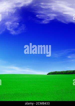 Paesaggio estivo - cielo blu e verde Foto Stock