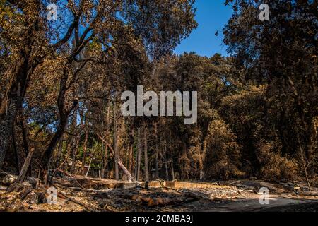 Bonny Doon, California, Stati Uniti. 16 Set 2020. Una visione generale dei danni alla proprietà su Empire Grade dopo che il complesso di Fulmine CZU ha strappato il fuoco attraverso parti di Felton nella contea di Santa Cruz, California, Stati Uniti, il giovedì 20 agosto 2020. Dall'inizio dell'anno, gli incendi boschivi hanno bruciato oltre 3.2 milioni di ettari in California. Dall'agosto 15, quando l'attività degli incendi della California è aumentata, ci sono stati 25 decessi e più di 4,200 strutture distrutte. Foto: Chris Tuite/ImageSPACE/MediaPunch Credit: Media Punch Inc/Alamy Live News/Alamy Live News Foto Stock