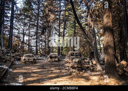 Ben Lomond, Stati Uniti. 16 Set 2020. BEN LOMOND, CALIFORNIA - SETTEMBRE 16: Una vista generale bruciò i veicoli su Alba Road dopo il complesso di CZU Lightning che si è guastato attraverso parti di Felton nella contea di Santa Cruz, California, Stati Uniti, giovedì 20 agosto 2020. Dall'inizio dell'anno, gli incendi boschivi hanno bruciato oltre 3.2 milioni di ettari in California. Dall'agosto 15, quando l'attività degli incendi della California è aumentata, ci sono stati 25 decessi e più di 4,200 strutture distrutte. Credito: Imagespace/Alamy Live News Foto Stock