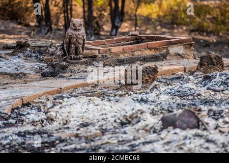 Bonny Doon, California, Stati Uniti. 16 Set 2020. Una visione generale dei danni alla proprietà su Empire Grade dopo che il complesso di Fulmine CZU ha strappato il fuoco attraverso parti di Felton nella contea di Santa Cruz, California, Stati Uniti, il giovedì 20 agosto 2020. Dall'inizio dell'anno, gli incendi boschivi hanno bruciato oltre 3.2 milioni di ettari in California. Dall'agosto 15, quando l'attività degli incendi della California è aumentata, ci sono stati 25 decessi e più di 4,200 strutture distrutte. Foto: Chris Tuite/ImageSPACE/MediaPunch Credit: Media Punch Inc/Alamy Live News/Alamy Live News Foto Stock