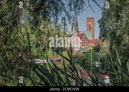 Una vista frondosa tra le canne della cattedrale di Ribe, Danimarca, 1 giugno 2020 Foto Stock