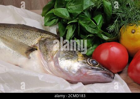 Pesce crudo luccio persico Foto Stock