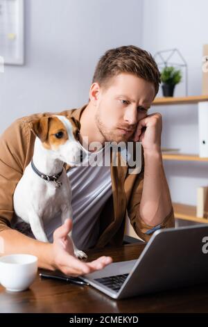 fuoco selettivo di uomo d'affari pensieroso che guarda il laptop vicino al jack russell cane terrier Foto Stock