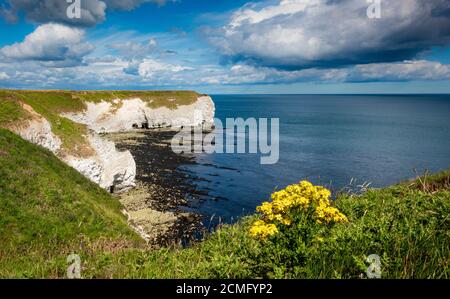 Flamborough si dirige verso la costa Heritage. Yorkshire, Inghilterra, Regno Unito Foto Stock