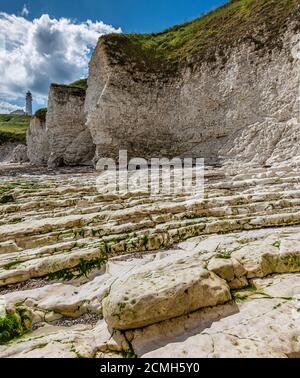 Selwicks Bay spiaggia rocciosa a bassa marea, Flamborough Head, East Riding, Yorkshire, Inghilterra, Regno Unito Foto Stock