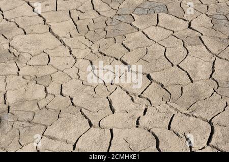 Grigio incrinato terreni disidratati Foto Stock