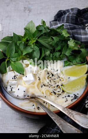 Zuppa di riso con tagliatelle e tofu Foto Stock