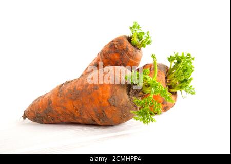 Carote giovani fresche con una parte superiore su uno sfondo bianco. Foto Stock